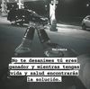 chapinsitoc